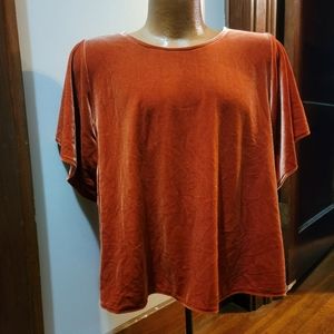 Velvet dress shirt by madewell